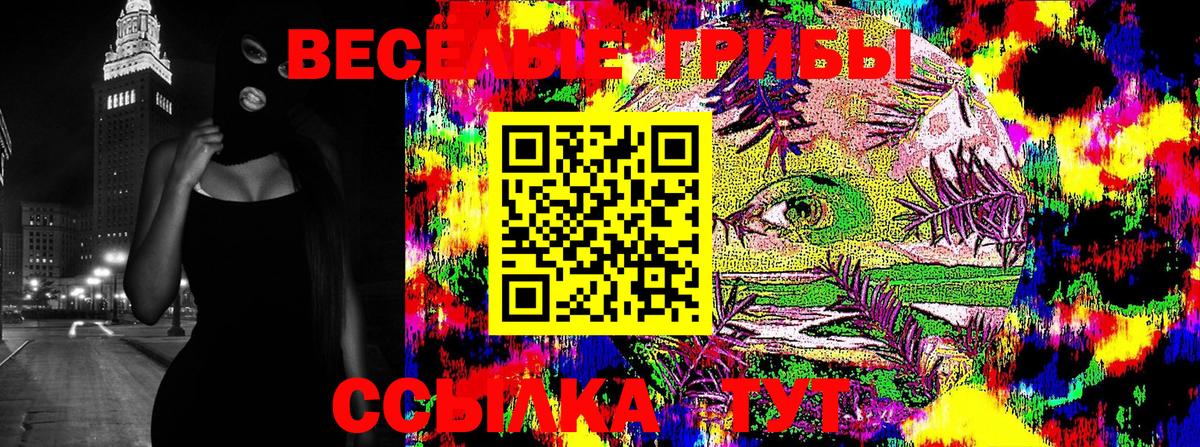 Псилоцибиновые грибы Psilocybine cubensis Алатырь